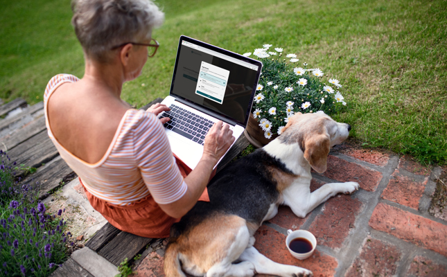 Log på Borgerportalen